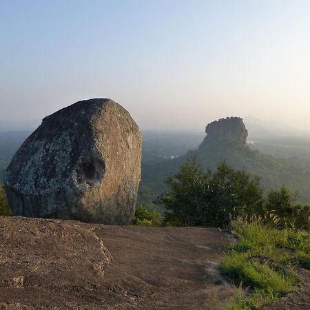 Kassapa Home Stay Sigiriya Ngoại thất bức ảnh