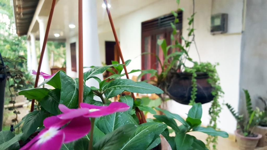 Kassapa Home Stay Sigiriya Ngoại thất bức ảnh